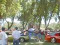 Plenty of shade and cars for everyone to enjoy