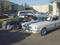 The TCP Racecar & Ed Crayne's 1966 GT350