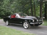 1965 Fastback - Eric Webb